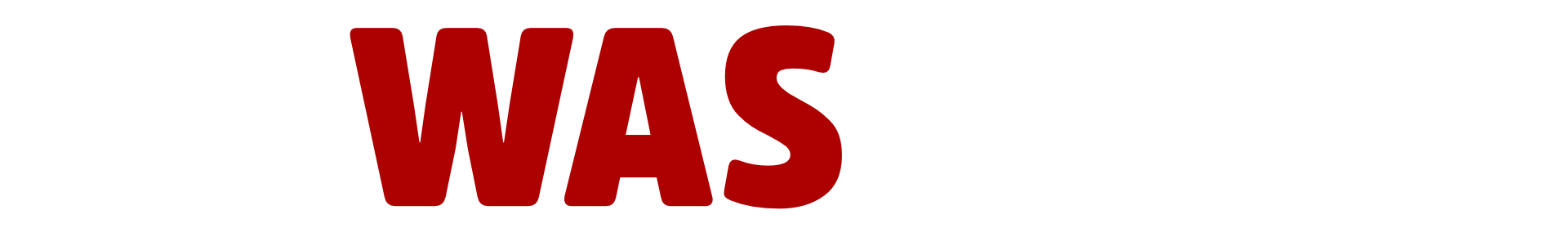 WASViking